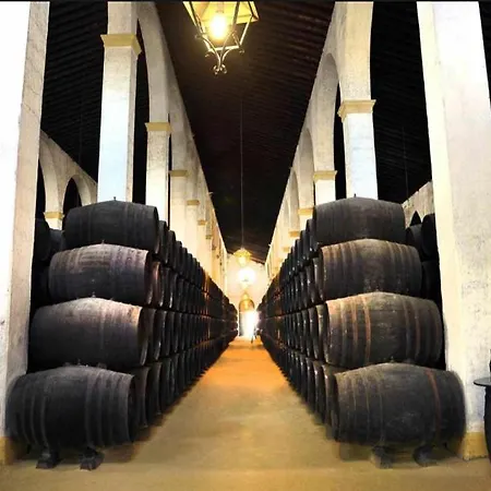 Casa Alzar2